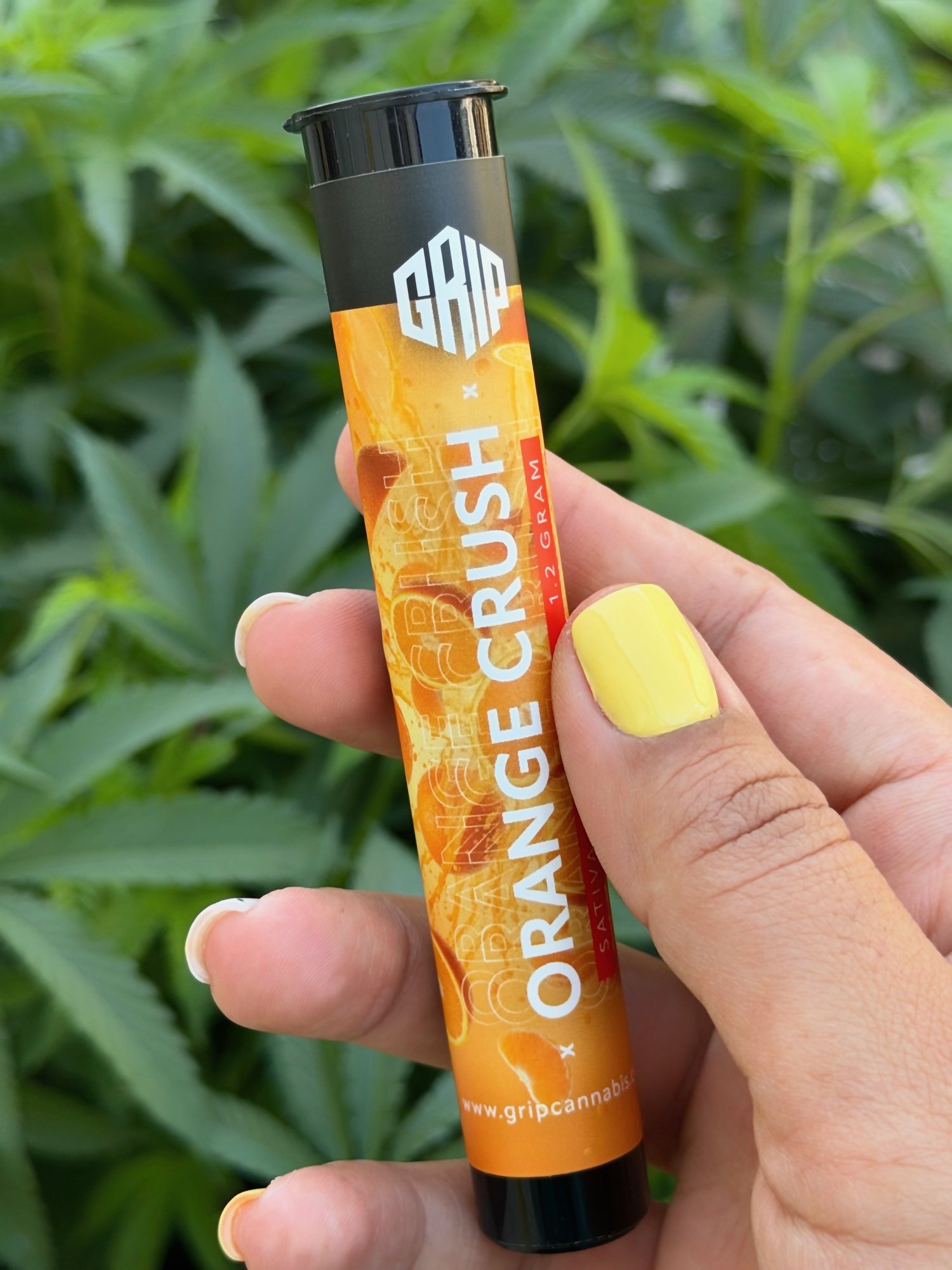 An Orange Crush 1.2 gram pre-roll tube held up in front of flowering plants