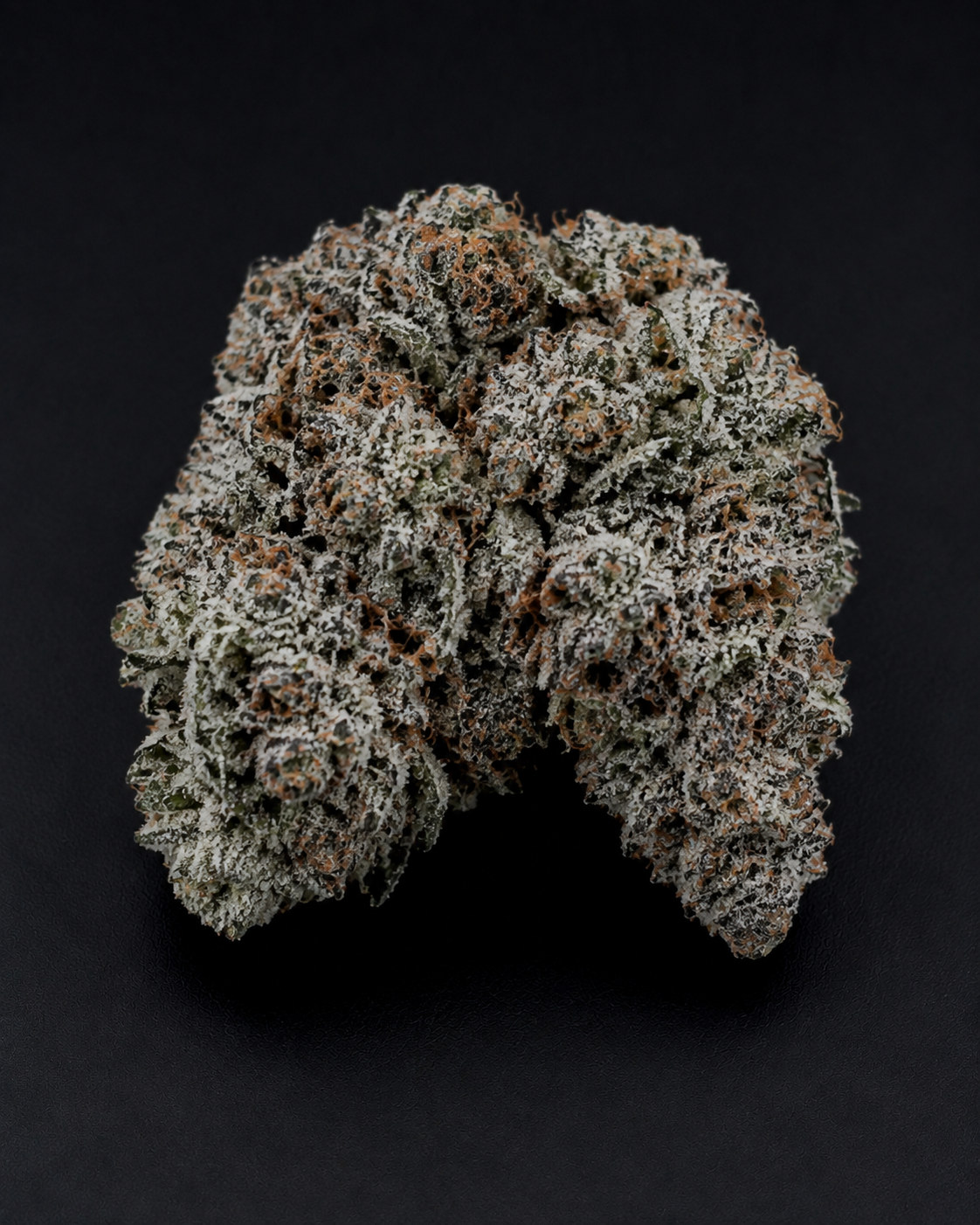 Critical Kush